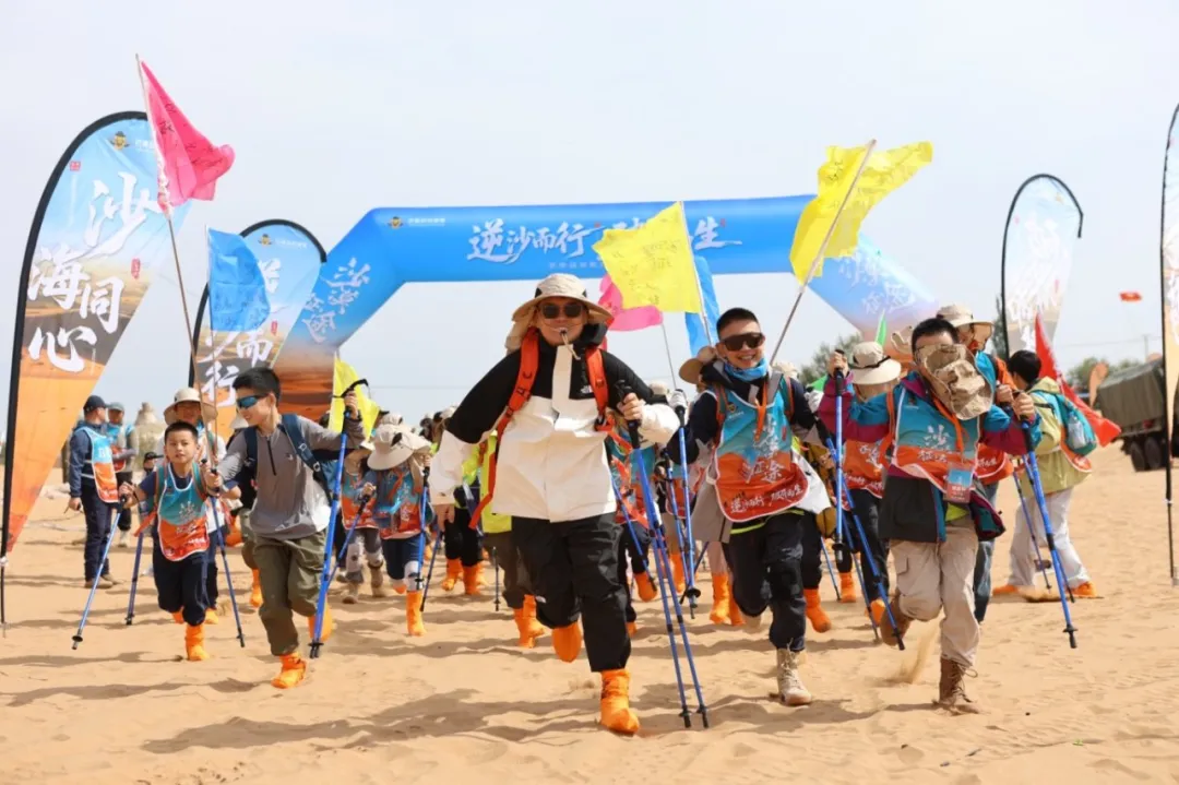 已选2.jpg